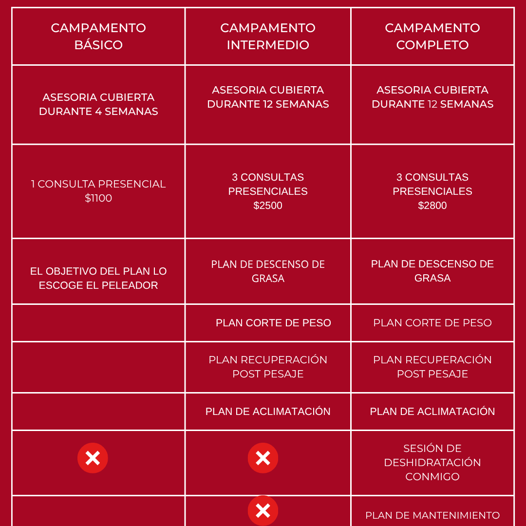 ASESORIA NUTRICIONAL PARA CAMPAMENTO DE PELEA-PRESENCIAL