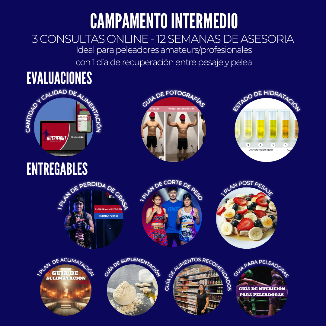 ASESORIA NUTRICIONAL PARA CAMPAMENTO DE PELEA-ONLINE