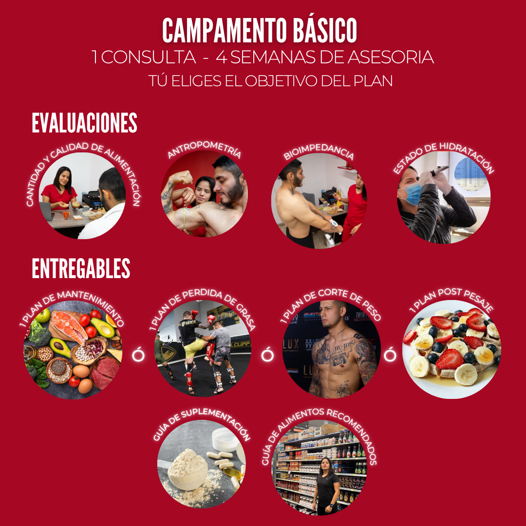 ASESORIA NUTRICIONAL PARA CAMPAMENTO DE PELEA-PRESENCIAL