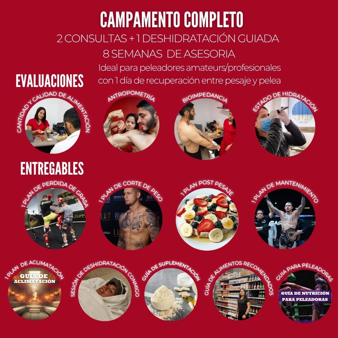 ASESORIA NUTRICIONAL PARA CAMPAMENTO DE PELEA-PRESENCIAL