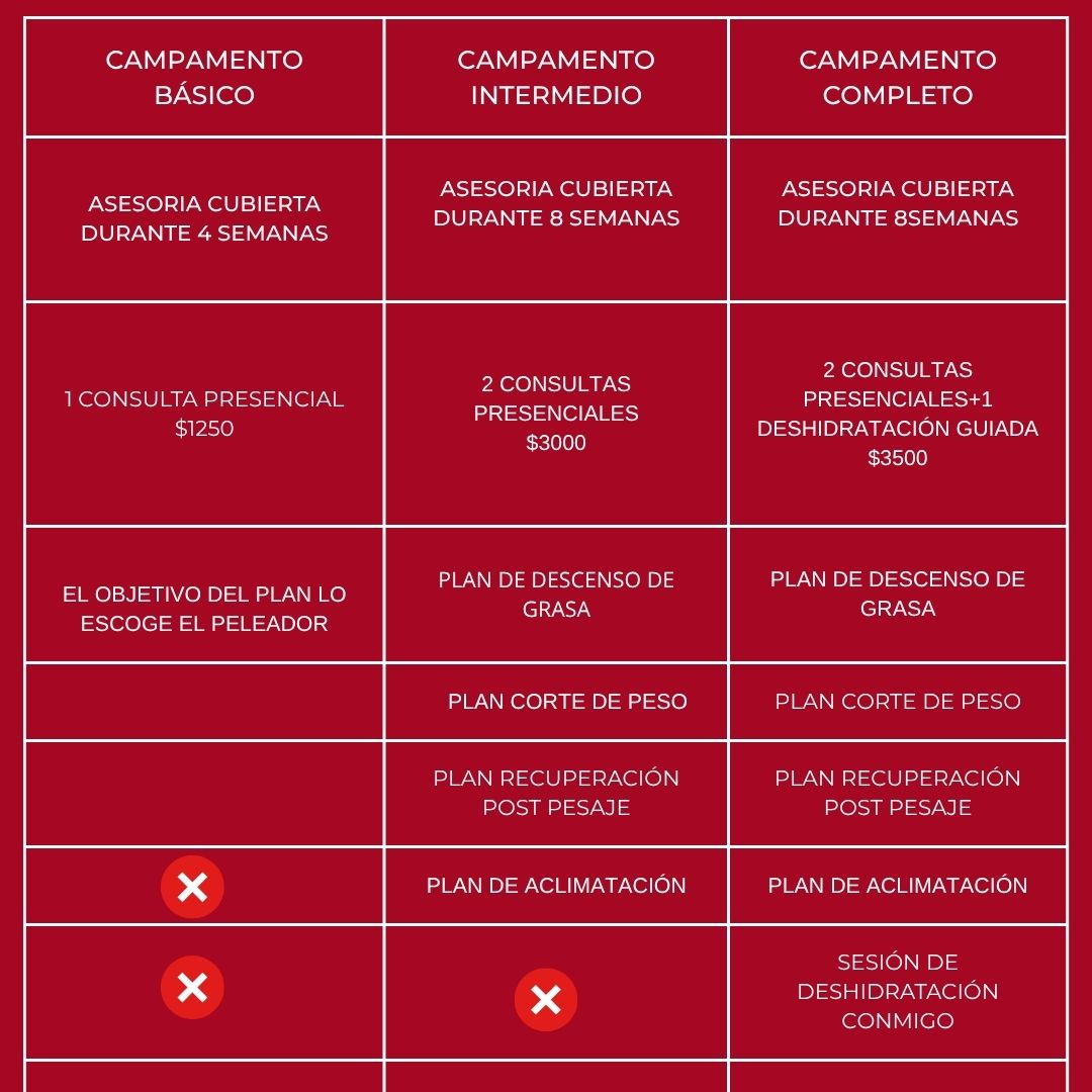 ASESORIA NUTRICIONAL PARA CAMPAMENTO DE PELEA-PRESENCIAL
