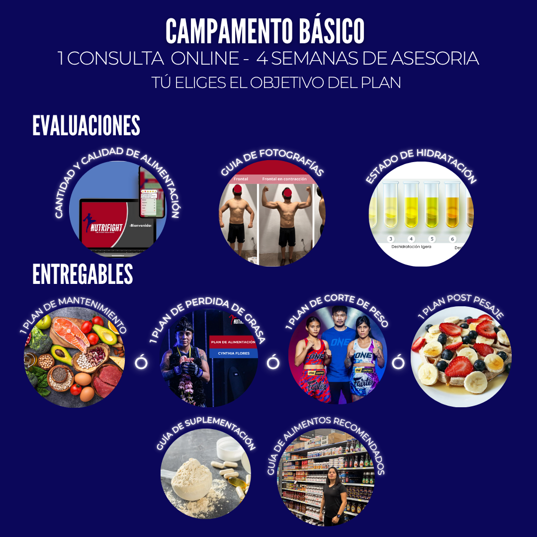 ASESORIA NUTRICIONAL PARA CAMPAMENTO DE PELEA-ONLINE