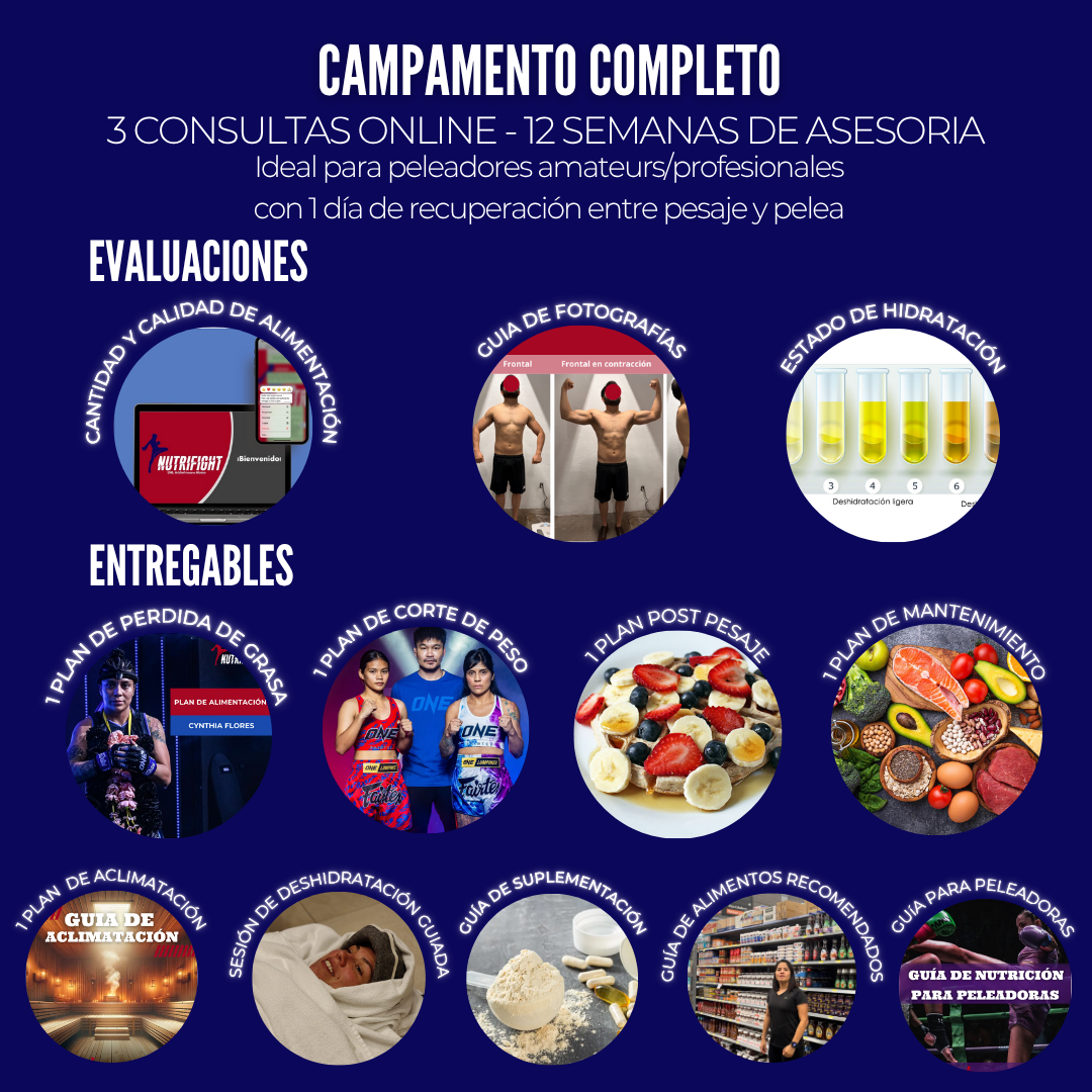 ASESORIA NUTRICIONAL PARA CAMPAMENTO DE PELEA-ONLINE