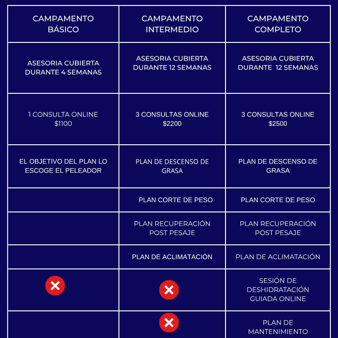 ASESORIA NUTRICIONAL PARA CAMPAMENTO DE PELEA-ONLINE