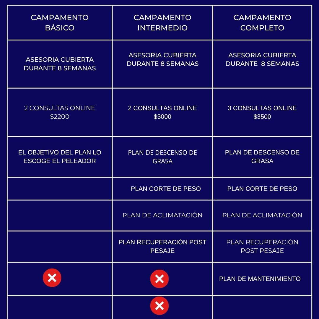 ASESORIA NUTRICIONAL PARA CAMPAMENTO DE PELEA-ONLINE