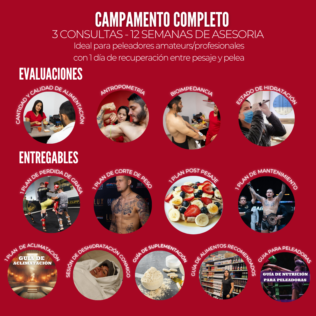 ASESORIA NUTRICIONAL PARA CAMPAMENTO DE PELEA-PRESENCIAL
