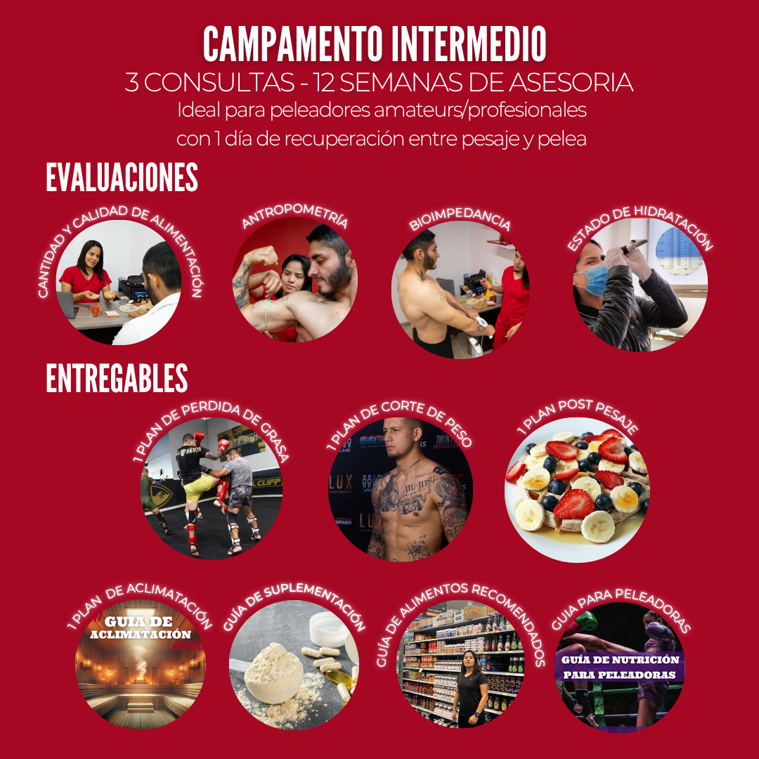 ASESORIA NUTRICIONAL PARA CAMPAMENTO DE PELEA-PRESENCIAL